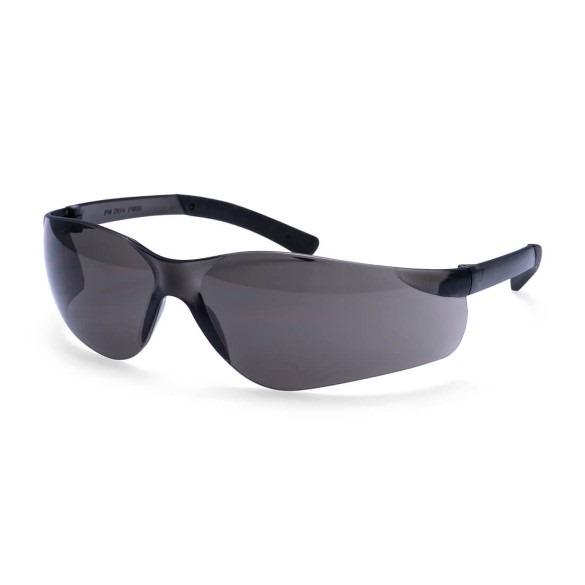 Pan View Safety Glasses