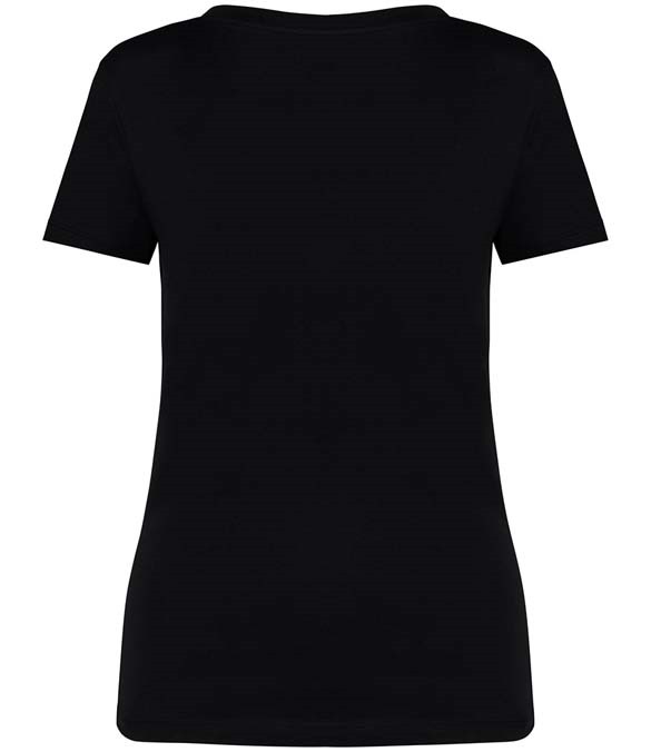 Native Spirit Ladies V Neck T-Shirt